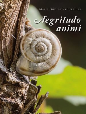 cover image of Aegritudo animi